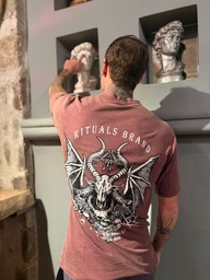 [2100000713801] Remera Alter